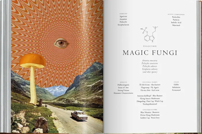 Plant Magick: The Library of Esoterica