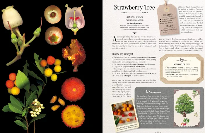 100 Plants That Heal: The Illustrated Herbarium of Medicinal Plants