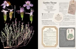 100 Plants That Heal: The Illustrated Herbarium of Medicinal Plants