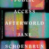 Public Access Afterworld: A Novel