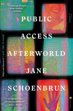 Public Access Afterworld: A Novel