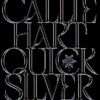 Quicksilver: The utterly addictive enemies-to-lovers romantasy sensation (Fae & Alchemy)