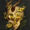 Ragwort