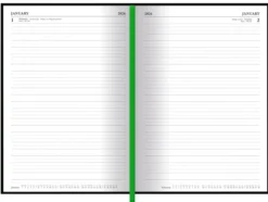 Rick & Morty 2026 A5 Dtp Diary