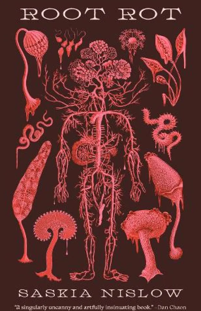 Root Rot
