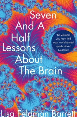 Seven and a Half Lessons About the Brain