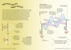 Simply Physics: Facts Made Fast
