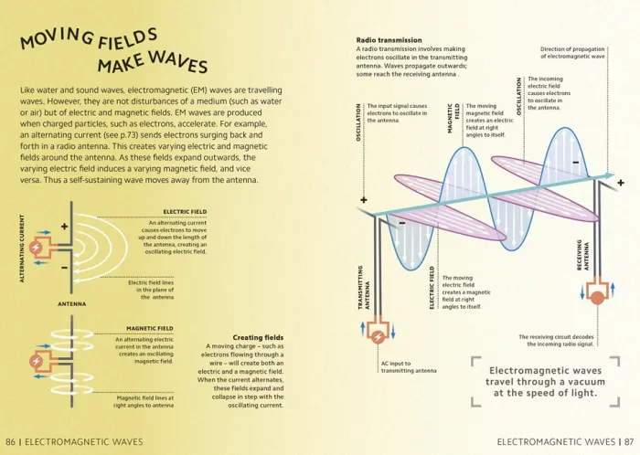 Simply Physics: Facts Made Fast