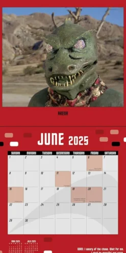 Star Trek 2025 Wall Calendar: The Original Series