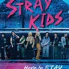 Stray Kids: Here to STAY