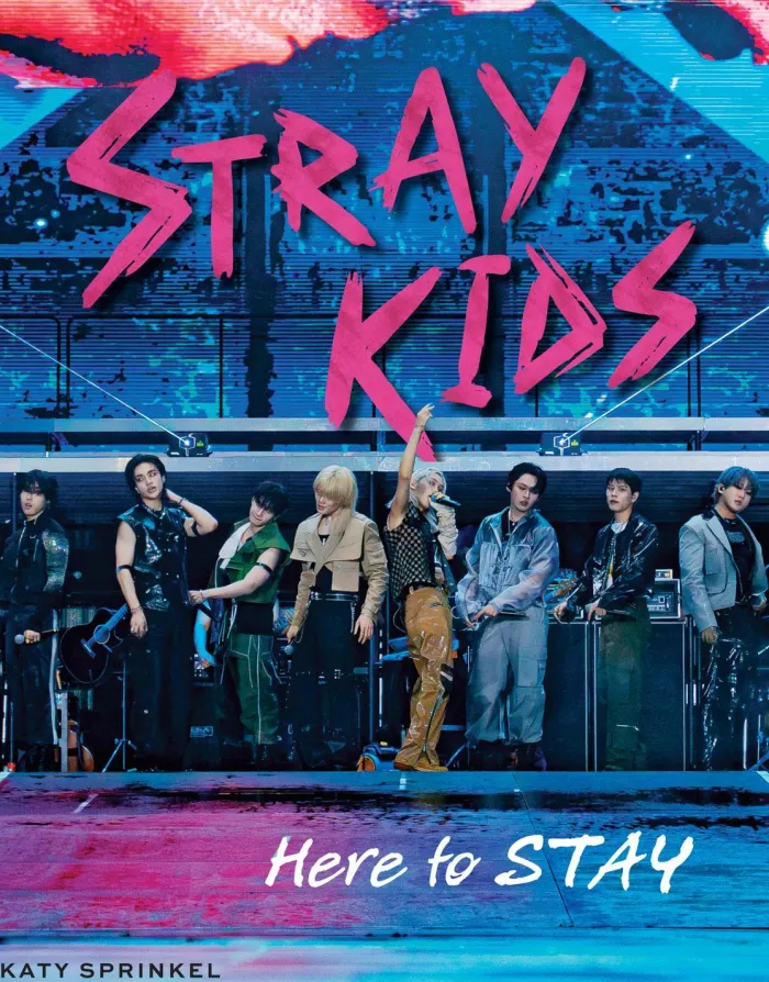 Stray Kids: Here to STAY