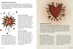 Stuff Your Astrologer Should Have Told You: The Brutally Honest Truth Behind the Bad Traits of Each Star Sign