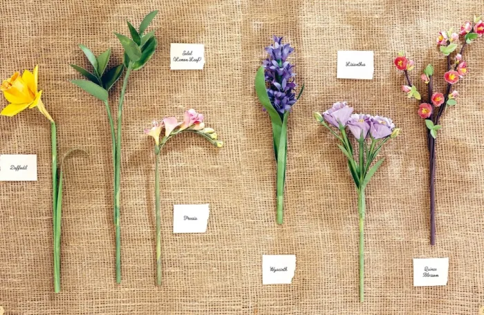 The Bouquet in a Book: Spring: Pre-Punched Pages to Press out and Make Paper Flowers