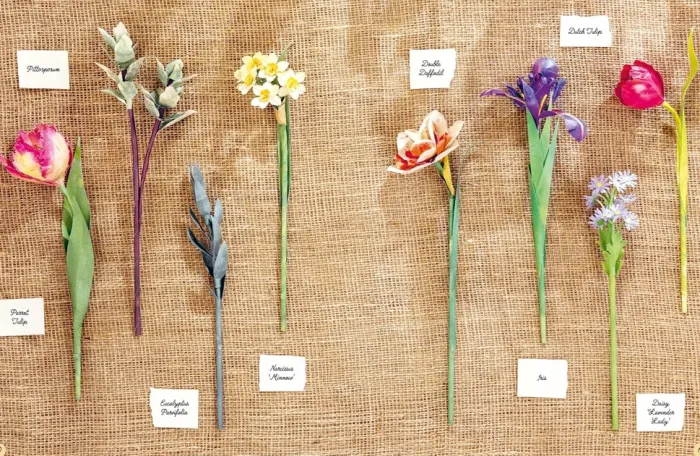 The Bouquet in a Book: Spring: Pre-Punched Pages to Press out and Make Paper Flowers