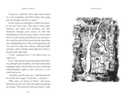 The Chronicles of Narnia Box Set (The Chronicles of Narnia)