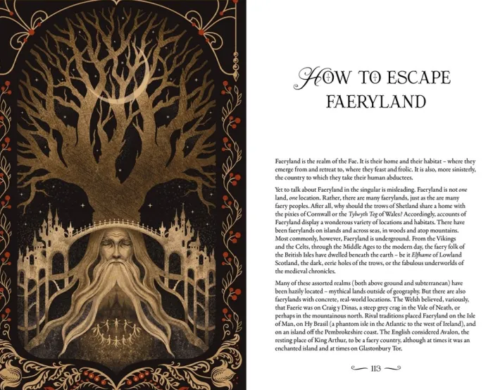 The Faery Rules: Forgotten Folklore for Living in Harmony with the Fae