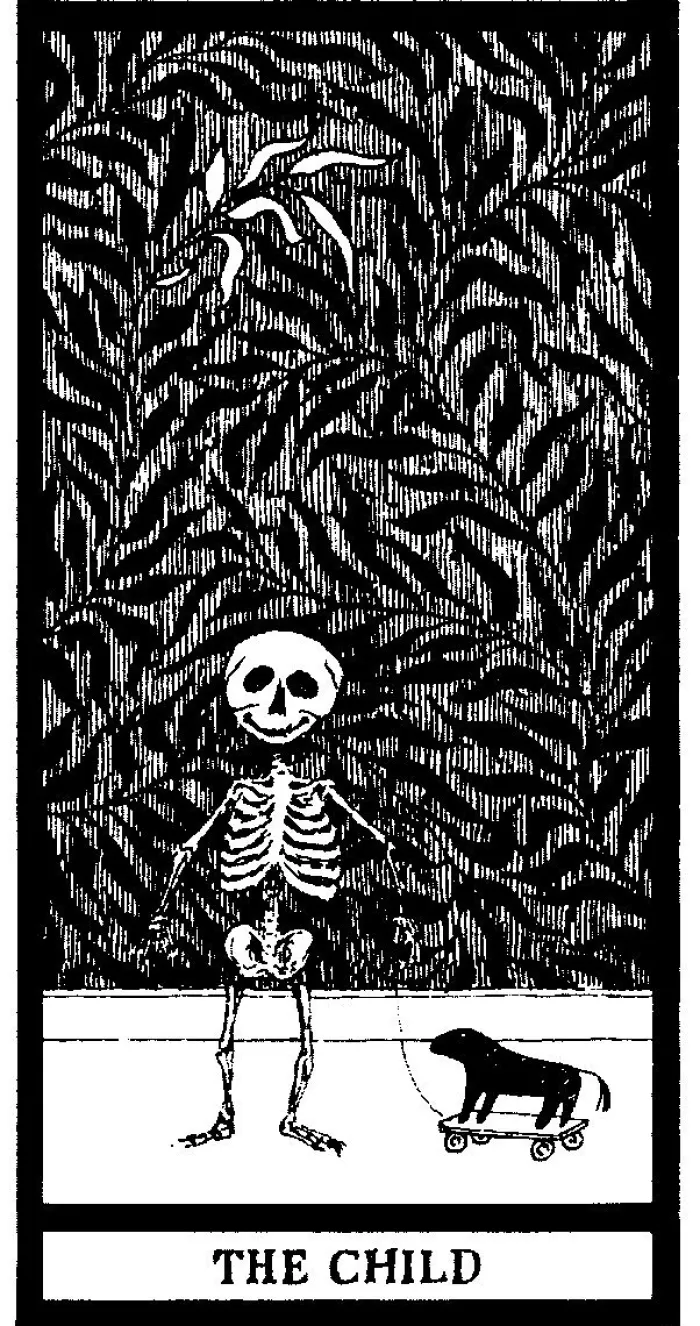 The Fantod Pack by Edward Gorey