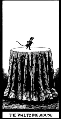 The Fantod Pack by Edward Gorey