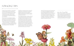 The Flower Fairies Herbal: Recipes and Remedies from the Hedgerow, Field and Forest