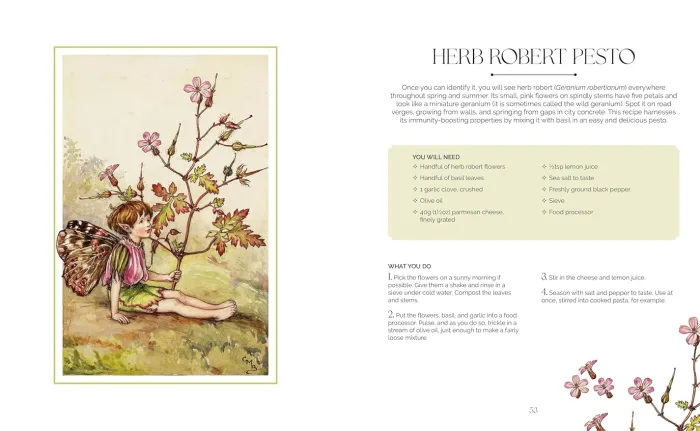 The Flower Fairies Herbal: Recipes and Remedies from the Hedgerow, Field and Forest