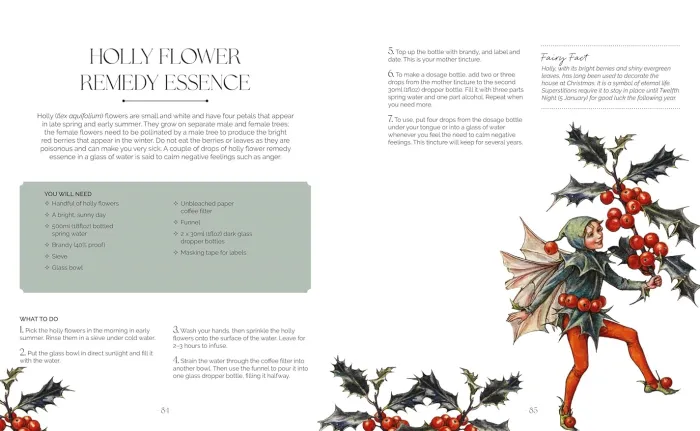 The Flower Fairies Herbal: Recipes and Remedies from the Hedgerow, Field and Forest