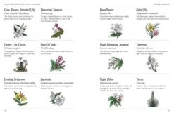 The Green Witch's Garden: Your Complete Guide to Creating and Cultivating a Magical Garden Space