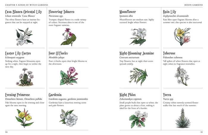 The Green Witch's Garden: Your Complete Guide to Creating and Cultivating a Magical Garden Space