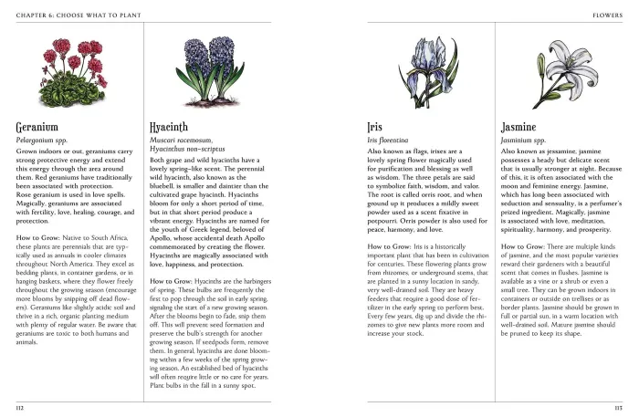 The Green Witch's Garden: Your Complete Guide to Creating and Cultivating a Magical Garden Space