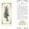 The Green Witch's Oracle Deck: Embrace the Wisdom and Insight of Natural Magic