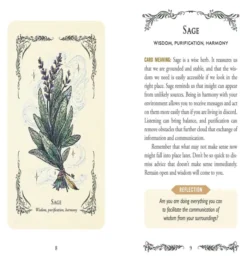 The Green Witch's Oracle Deck: Embrace the Wisdom and Insight of Natural Magic