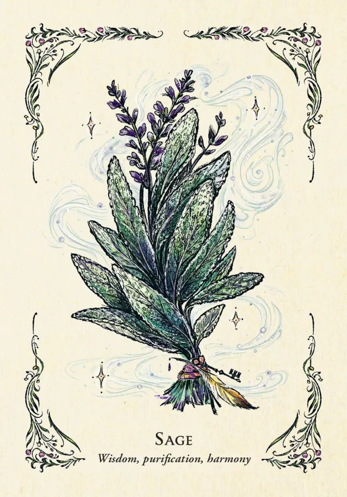 The Green Witch's Oracle Deck: Embrace the Wisdom and Insight of Natural Magic