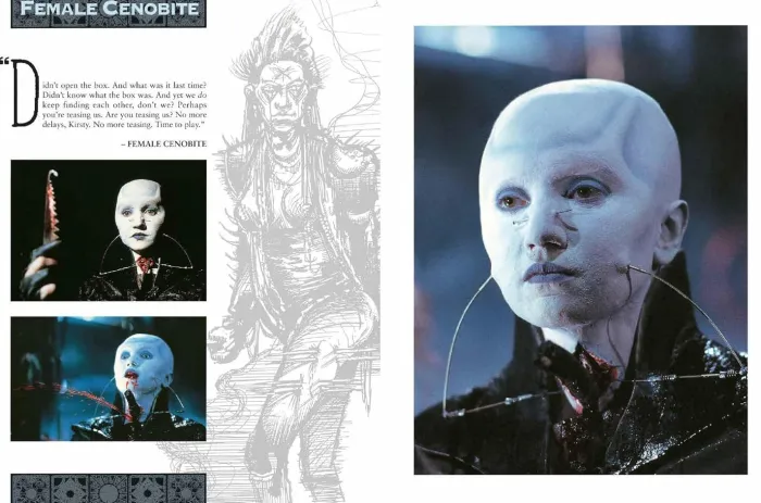 The Hellraiser Chronicles
