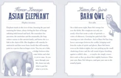 The Illustrated Bestiary Oracle Cards: 36-Card Deck of Inspiring Animals