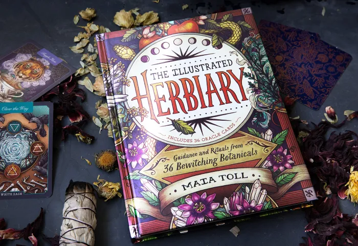 The Illustrated Herbiary: Guidance and Rituals from 36 Bewitching Botanicals