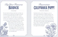 The Illustrated Herbiary Oracle Cards: 36-Card Deck of Bewitching Botanicals