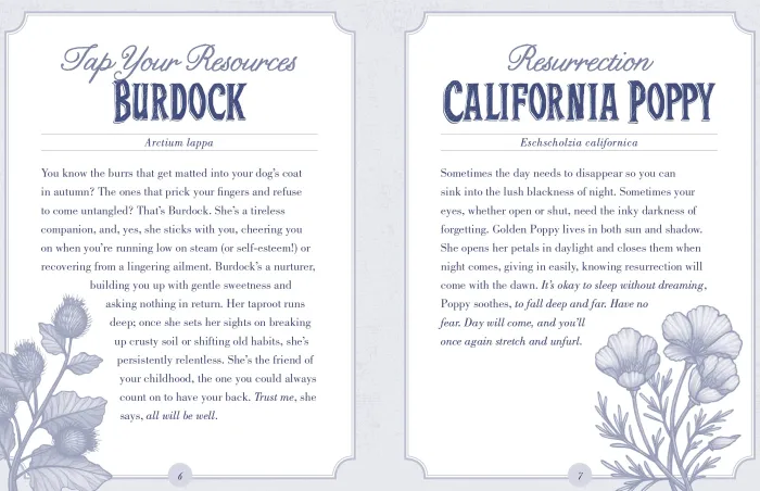 The Illustrated Herbiary Oracle Cards: 36-Card Deck of Bewitching Botanicals