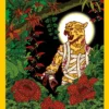 The Island Of Doctor Moreau