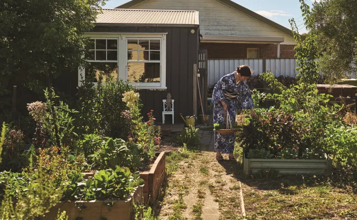 The Japanese Art of Pickling & Fermenting: Preserving vegetables and family traditions