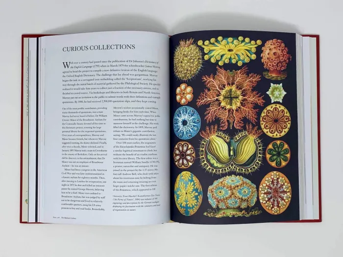 The Madman's Library: The Greatest Curiosities of Literature