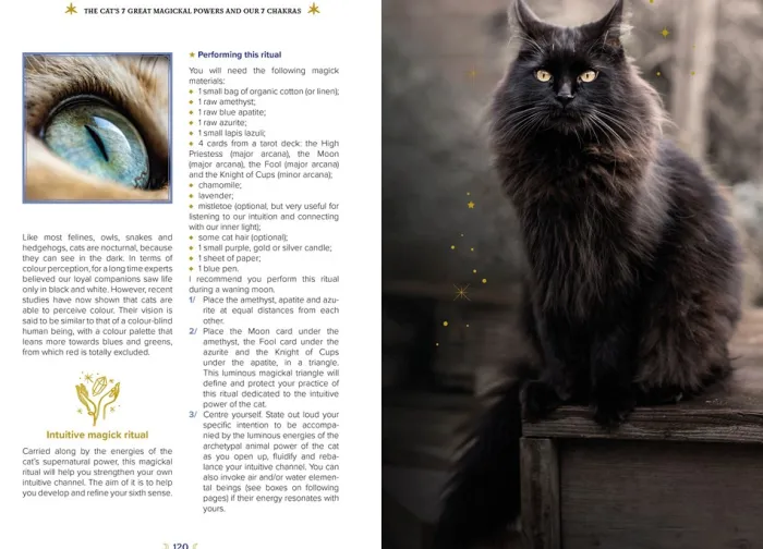 The Magic of Cats: The Cat Lover's Guide to Enchanted Feline Energy