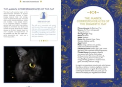 The Magic of Cats: The Cat Lover's Guide to Enchanted Feline Energy