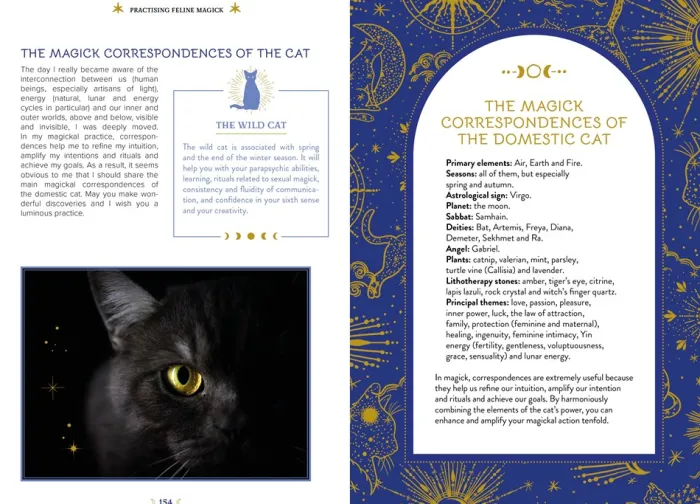 The Magic of Cats: The Cat Lover's Guide to Enchanted Feline Energy
