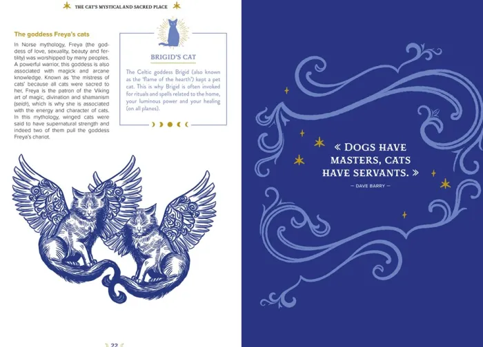 The Magic of Cats: The Cat Lover's Guide to Enchanted Feline Energy
