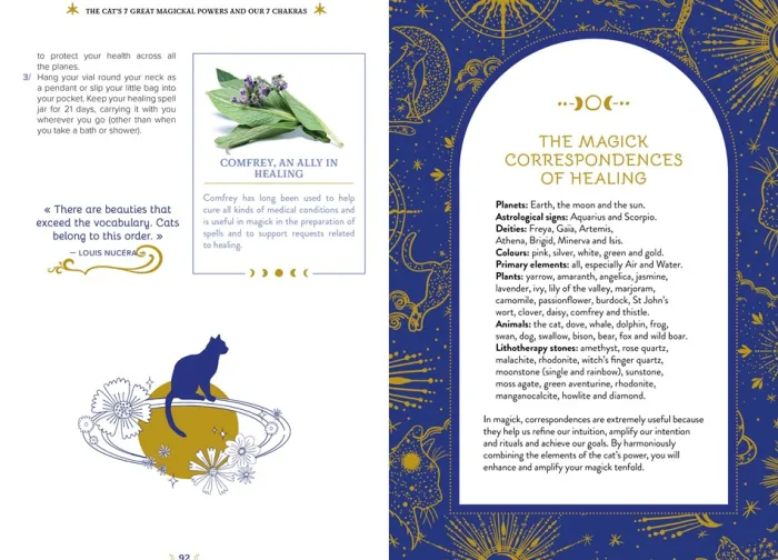 The Magic of Cats: The Cat Lover's Guide to Enchanted Feline Energy