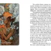 The Mary-El Tarot, 2nd Edition: (Tarot Kit Box Set with 78 Cards and Guide Book)