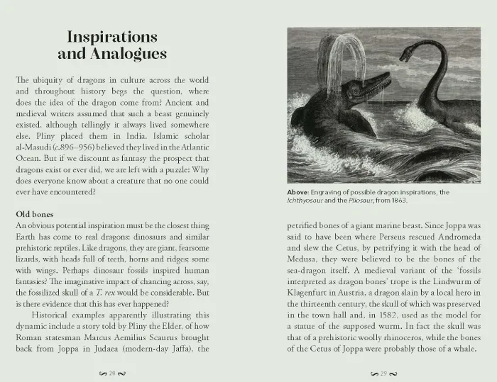 The Pocket Book of Dragons: Myth, Magic and Meaning