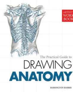 The Practical Guide to Drawing Anatomy