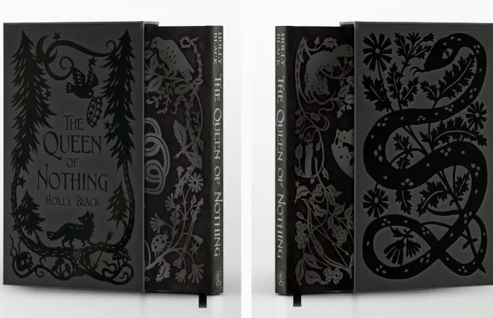 The Queen of Nothing (A Novel of Elfhame): deluxe slipcase edition