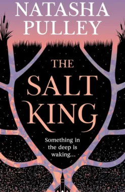 The Salt King: An end of the world thriller, packed with dazzling wit and romance