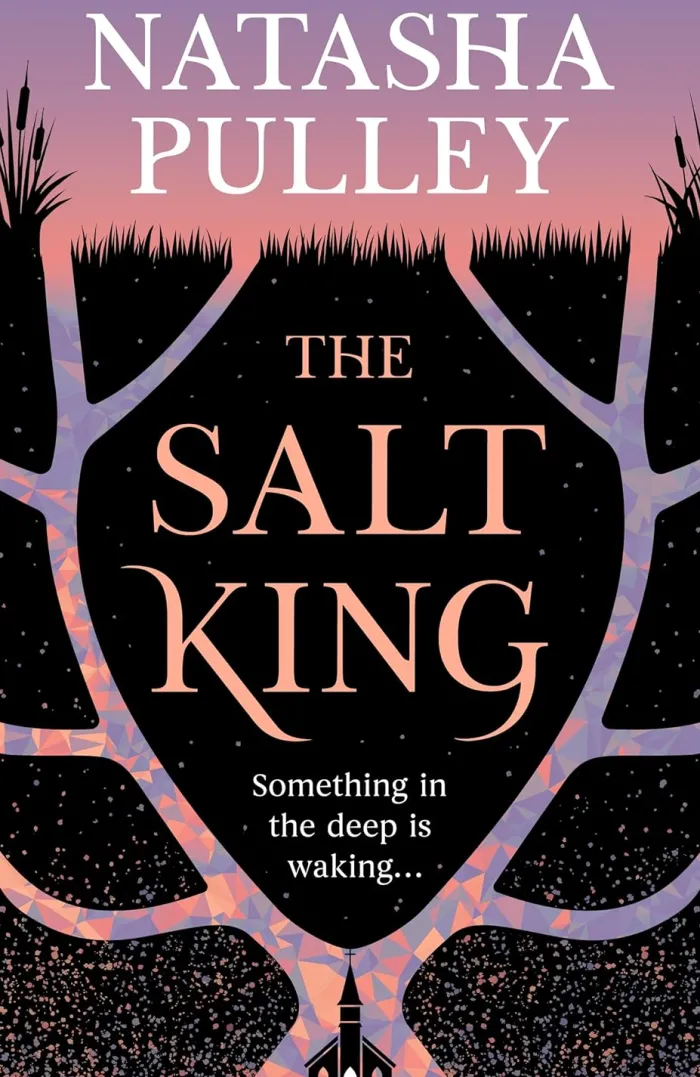 The Salt King: An end of the world thriller, packed with dazzling wit and romance